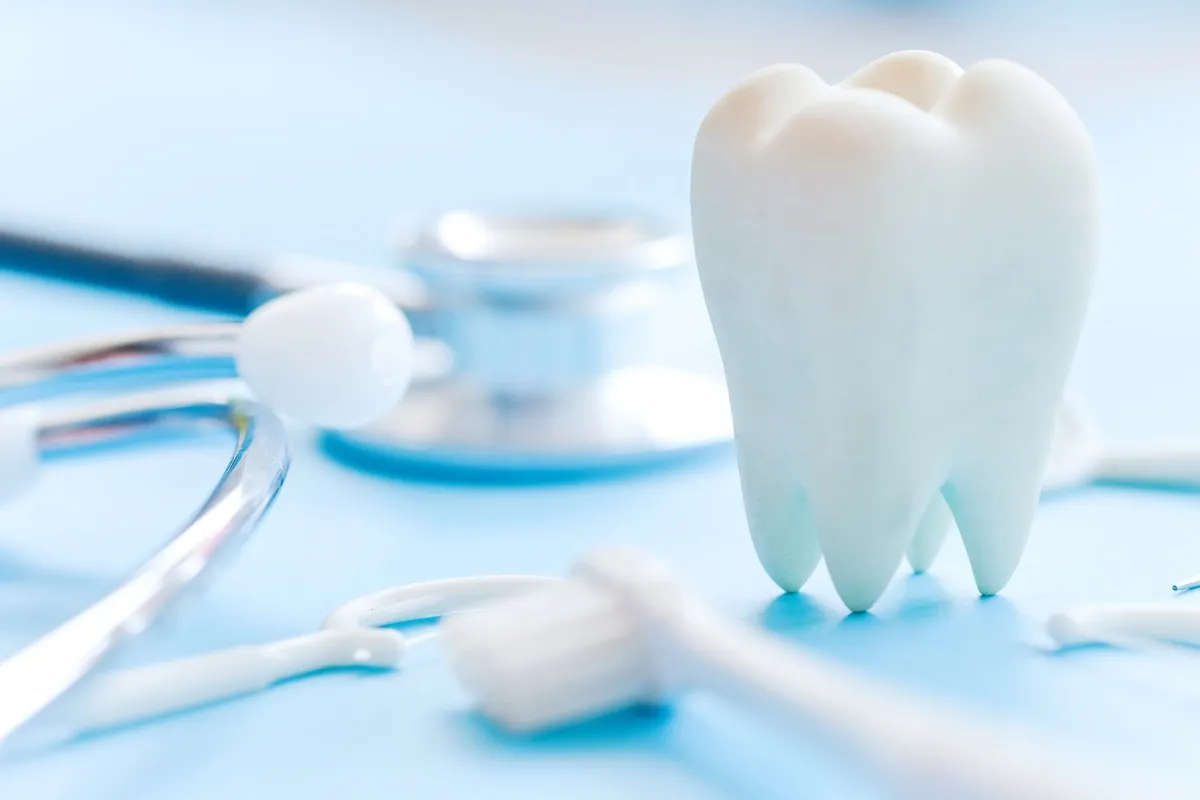What Dental Services Can Grandparents and Grandchildren Receive Together?